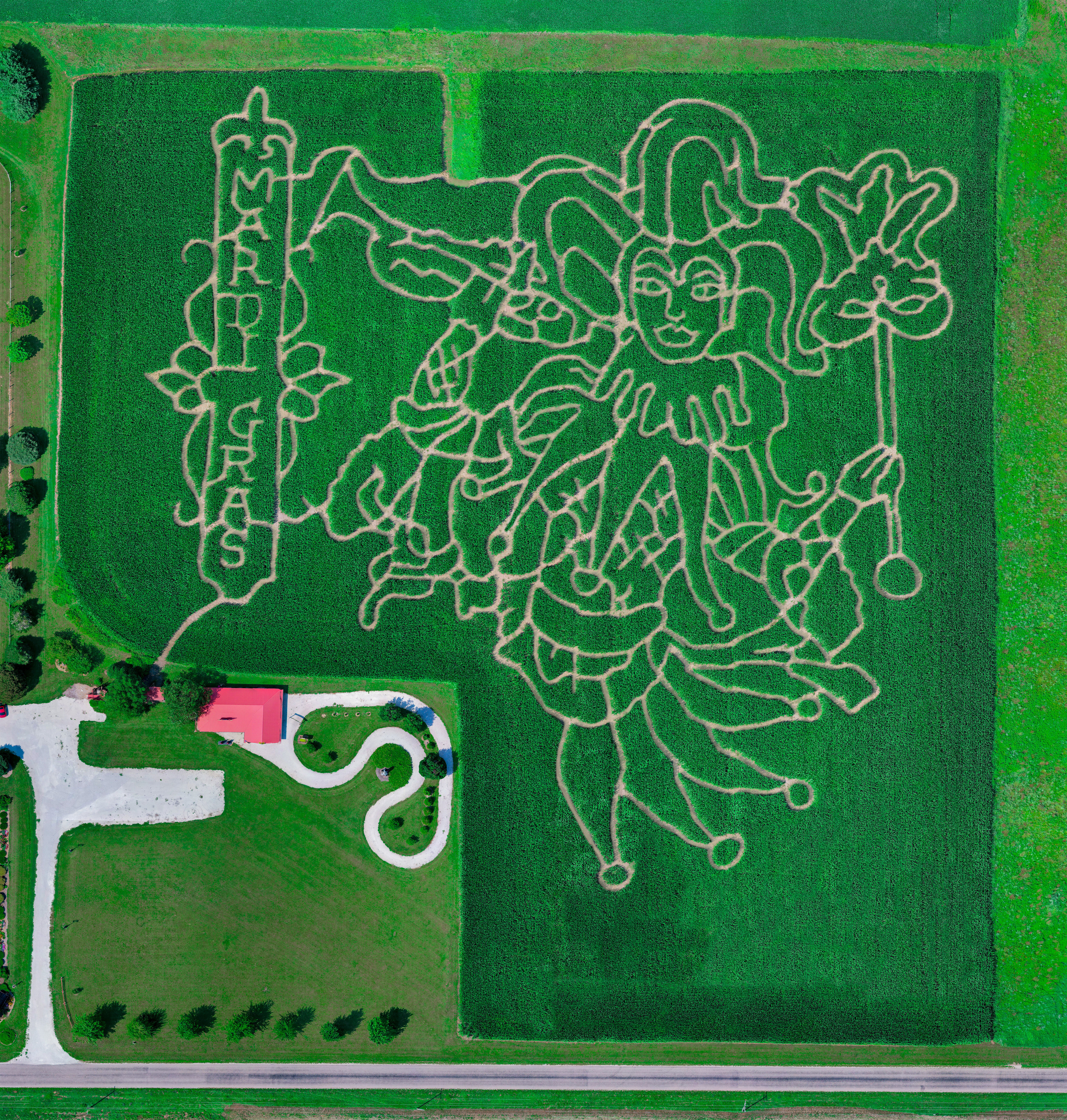 Mardi Gras Corn Maze 2024